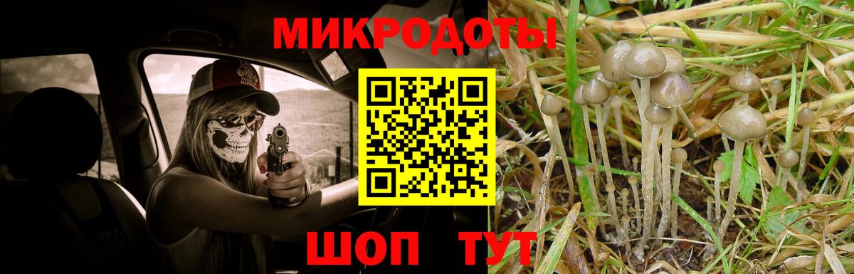 Галлюциногенные грибы Psilocybine cubensis  Вход с VPN  Армавир 