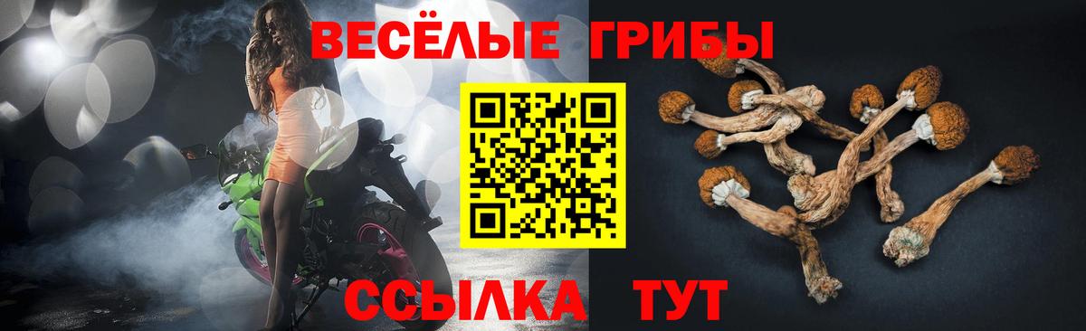 Галлюциногенные грибы GOLDEN TEACHER Армавир