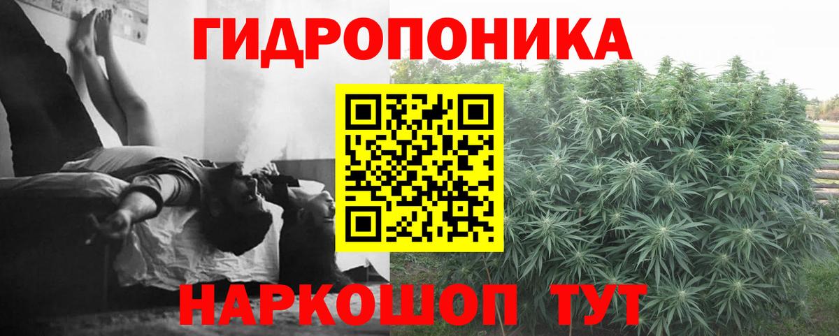МАРИХУАНА сатива Армавир
